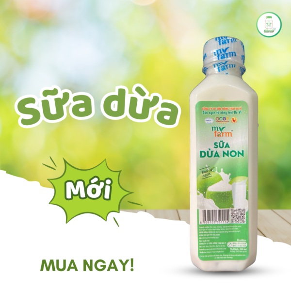 Sữa dừa
